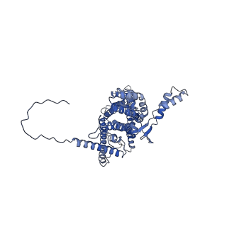 4834_6rdx_1_v1-2
Cryo-EM structure of Polytomella F-ATP synthase, Rotary substate 1F, monomer-masked refinement