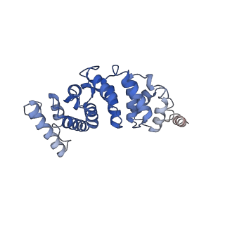 4834_6rdx_3_v1-2
Cryo-EM structure of Polytomella F-ATP synthase, Rotary substate 1F, monomer-masked refinement