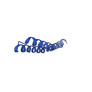 4834_6rdx_B_v1-2
Cryo-EM structure of Polytomella F-ATP synthase, Rotary substate 1F, monomer-masked refinement