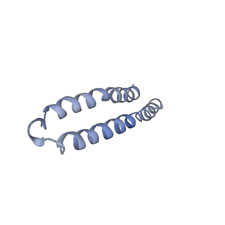 4834_6rdx_E_v1-2
Cryo-EM structure of Polytomella F-ATP synthase, Rotary substate 1F, monomer-masked refinement