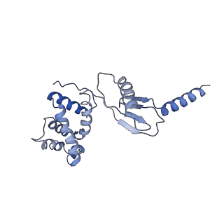 4834_6rdx_P_v1-2
Cryo-EM structure of Polytomella F-ATP synthase, Rotary substate 1F, monomer-masked refinement