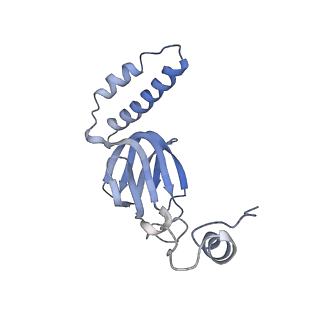 4834_6rdx_R_v1-2
Cryo-EM structure of Polytomella F-ATP synthase, Rotary substate 1F, monomer-masked refinement