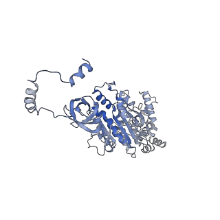 4834_6rdx_U_v1-2
Cryo-EM structure of Polytomella F-ATP synthase, Rotary substate 1F, monomer-masked refinement
