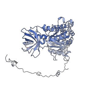 4834_6rdx_X_v1-2
Cryo-EM structure of Polytomella F-ATP synthase, Rotary substate 1F, monomer-masked refinement