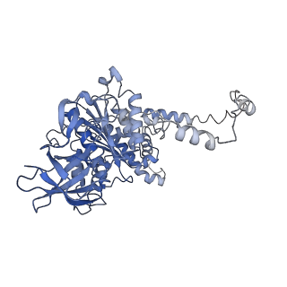 4834_6rdx_Y_v1-2
Cryo-EM structure of Polytomella F-ATP synthase, Rotary substate 1F, monomer-masked refinement