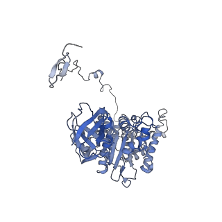 4834_6rdx_Z_v1-2
Cryo-EM structure of Polytomella F-ATP synthase, Rotary substate 1F, monomer-masked refinement