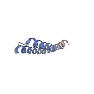 4835_6rdy_B_v1-2
Cryo-EM structure of Polytomella F-ATP synthase, Rotary substate 1F, focussed refinement of F1 head and rotor