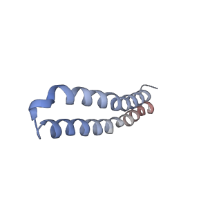 4835_6rdy_C_v1-2
Cryo-EM structure of Polytomella F-ATP synthase, Rotary substate 1F, focussed refinement of F1 head and rotor