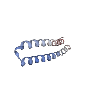4835_6rdy_D_v1-2
Cryo-EM structure of Polytomella F-ATP synthase, Rotary substate 1F, focussed refinement of F1 head and rotor