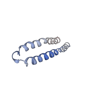 4835_6rdy_E_v1-2
Cryo-EM structure of Polytomella F-ATP synthase, Rotary substate 1F, focussed refinement of F1 head and rotor