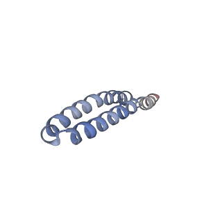 4835_6rdy_F_v1-2
Cryo-EM structure of Polytomella F-ATP synthase, Rotary substate 1F, focussed refinement of F1 head and rotor