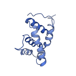 4835_6rdy_P_v1-2
Cryo-EM structure of Polytomella F-ATP synthase, Rotary substate 1F, focussed refinement of F1 head and rotor