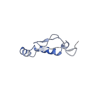 4835_6rdy_Q_v1-2
Cryo-EM structure of Polytomella F-ATP synthase, Rotary substate 1F, focussed refinement of F1 head and rotor