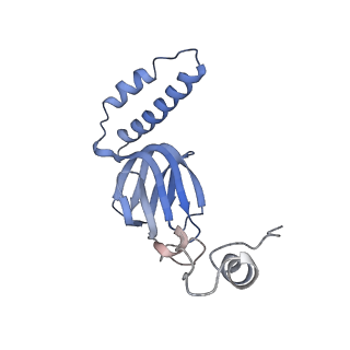 4835_6rdy_R_v1-2
Cryo-EM structure of Polytomella F-ATP synthase, Rotary substate 1F, focussed refinement of F1 head and rotor