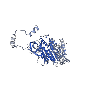 4835_6rdy_U_v1-2
Cryo-EM structure of Polytomella F-ATP synthase, Rotary substate 1F, focussed refinement of F1 head and rotor