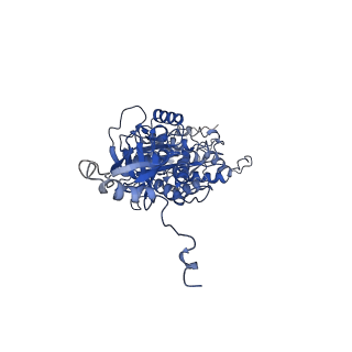 4835_6rdy_V_v1-2
Cryo-EM structure of Polytomella F-ATP synthase, Rotary substate 1F, focussed refinement of F1 head and rotor