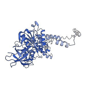 4835_6rdy_Y_v1-2
Cryo-EM structure of Polytomella F-ATP synthase, Rotary substate 1F, focussed refinement of F1 head and rotor