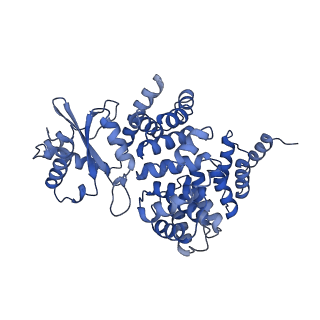 4836_6rdz_2_v1-3
Cryo-EM structure of Polytomella F-ATP synthase, Rotary substate 2A, composite map