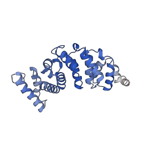 4836_6rdz_3_v1-3
Cryo-EM structure of Polytomella F-ATP synthase, Rotary substate 2A, composite map