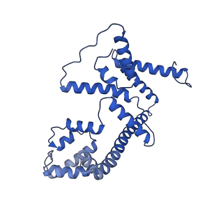 4836_6rdz_4_v1-3
Cryo-EM structure of Polytomella F-ATP synthase, Rotary substate 2A, composite map