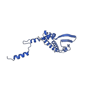 4836_6rdz_7_v1-3
Cryo-EM structure of Polytomella F-ATP synthase, Rotary substate 2A, composite map