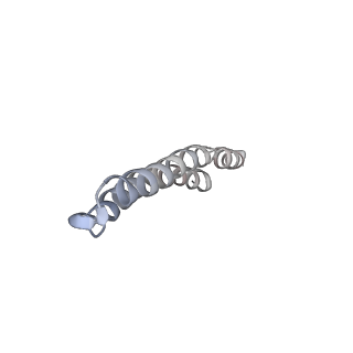 4836_6rdz_E_v1-3
Cryo-EM structure of Polytomella F-ATP synthase, Rotary substate 2A, composite map