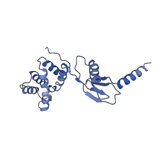 4836_6rdz_P_v1-3
Cryo-EM structure of Polytomella F-ATP synthase, Rotary substate 2A, composite map