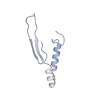 4836_6rdz_Q_v1-3
Cryo-EM structure of Polytomella F-ATP synthase, Rotary substate 2A, composite map