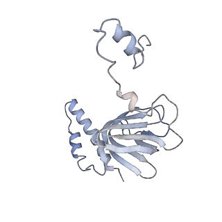 4836_6rdz_R_v1-3
Cryo-EM structure of Polytomella F-ATP synthase, Rotary substate 2A, composite map