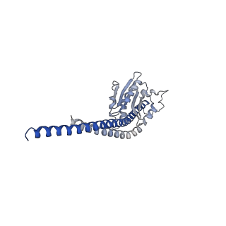 4836_6rdz_S_v1-3
Cryo-EM structure of Polytomella F-ATP synthase, Rotary substate 2A, composite map