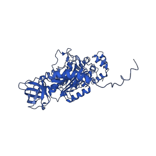 4836_6rdz_T_v1-3
Cryo-EM structure of Polytomella F-ATP synthase, Rotary substate 2A, composite map