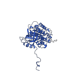 4836_6rdz_V_v1-3
Cryo-EM structure of Polytomella F-ATP synthase, Rotary substate 2A, composite map