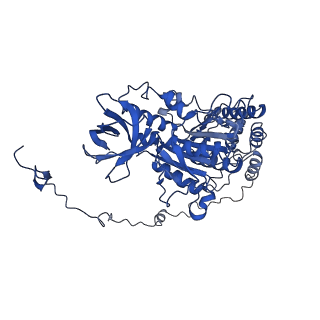 4836_6rdz_X_v1-3
Cryo-EM structure of Polytomella F-ATP synthase, Rotary substate 2A, composite map