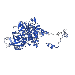 4836_6rdz_Y_v1-3
Cryo-EM structure of Polytomella F-ATP synthase, Rotary substate 2A, composite map