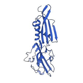 19079_8re4_B_v1-0
Cryo-EM structure of bacterial RNA polymerase-sigma54 initial transcribing complex - 5nt pre-translocated complex