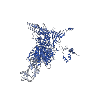 19079_8re4_C_v1-0
Cryo-EM structure of bacterial RNA polymerase-sigma54 initial transcribing complex - 5nt pre-translocated complex