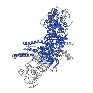 19079_8re4_D_v1-0
Cryo-EM structure of bacterial RNA polymerase-sigma54 initial transcribing complex - 5nt pre-translocated complex