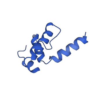 19079_8re4_E_v1-0
Cryo-EM structure of bacterial RNA polymerase-sigma54 initial transcribing complex - 5nt pre-translocated complex
