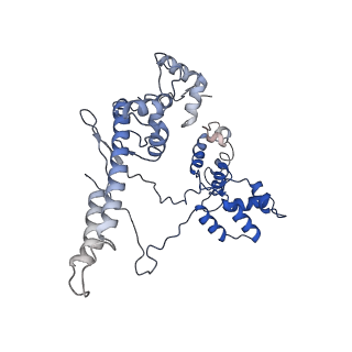 19079_8re4_M_v1-0
Cryo-EM structure of bacterial RNA polymerase-sigma54 initial transcribing complex - 5nt pre-translocated complex