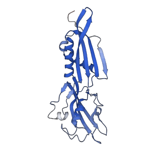 19080_8rea_B_v1-0
Cryo-EM structure of bacterial RNA polymerase-sigma54 initial transcribing complex - 5nt post-translocated complex