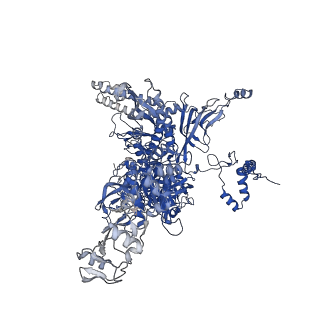 19080_8rea_C_v1-0
Cryo-EM structure of bacterial RNA polymerase-sigma54 initial transcribing complex - 5nt post-translocated complex