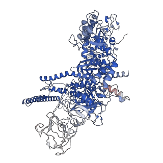 19080_8rea_D_v1-0
Cryo-EM structure of bacterial RNA polymerase-sigma54 initial transcribing complex - 5nt post-translocated complex