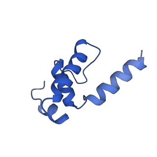19080_8rea_E_v1-0
Cryo-EM structure of bacterial RNA polymerase-sigma54 initial transcribing complex - 5nt post-translocated complex