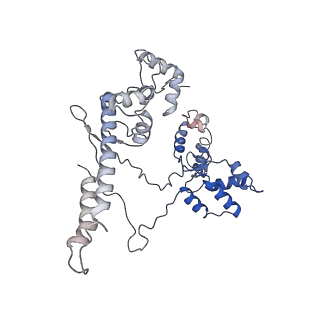 19080_8rea_M_v1-0
Cryo-EM structure of bacterial RNA polymerase-sigma54 initial transcribing complex - 5nt post-translocated complex