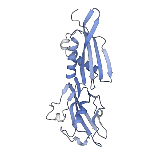 19081_8reb_B_v1-0
Cryo-EM structure of bacterial RNA polymerase-sigma54 initial transcribing complex - 6nt complex