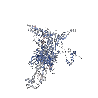 19081_8reb_C_v1-0
Cryo-EM structure of bacterial RNA polymerase-sigma54 initial transcribing complex - 6nt complex