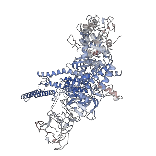 19081_8reb_D_v1-0
Cryo-EM structure of bacterial RNA polymerase-sigma54 initial transcribing complex - 6nt complex