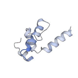19081_8reb_E_v1-0
Cryo-EM structure of bacterial RNA polymerase-sigma54 initial transcribing complex - 6nt complex