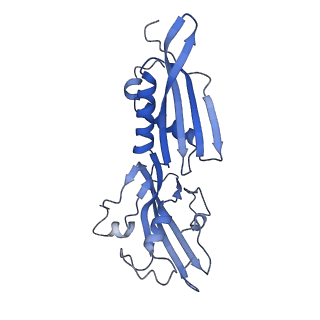19082_8rec_B_v1-0
Cryo-EM structure of bacterial RNA polymerase-sigma54 initial transcribing complex - 7nt complex