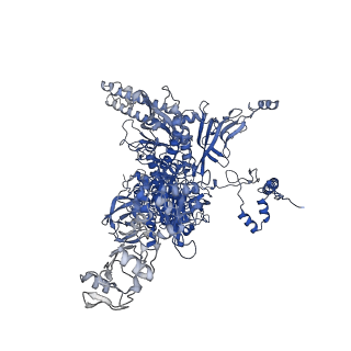 19082_8rec_C_v1-0
Cryo-EM structure of bacterial RNA polymerase-sigma54 initial transcribing complex - 7nt complex
